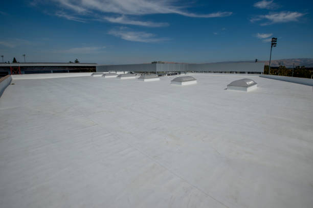 Best Skylight Installation and Repair  in Brockport, NY